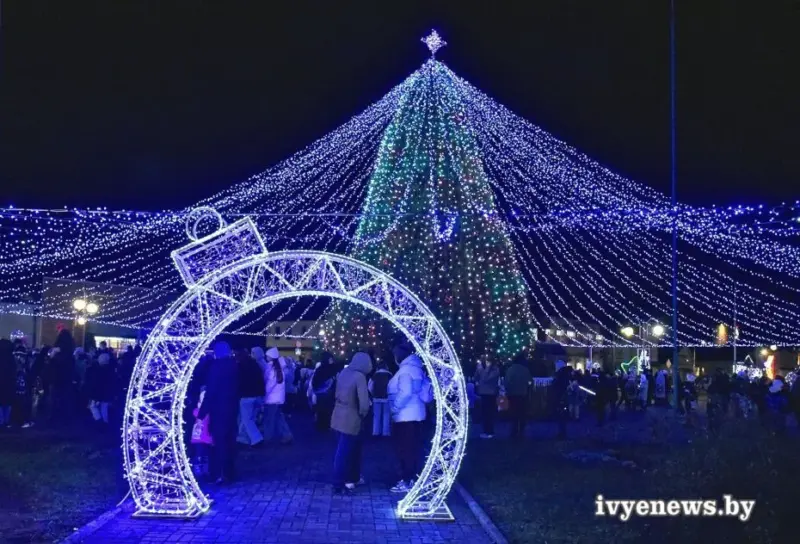 С подковами, домиками и снежинками. Как выглядят главные елки в районных центрах региона