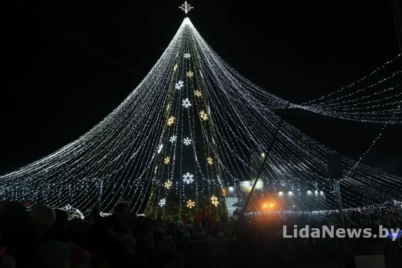 С подковами, домиками и снежинками. Как выглядят главные елки в районных центрах региона