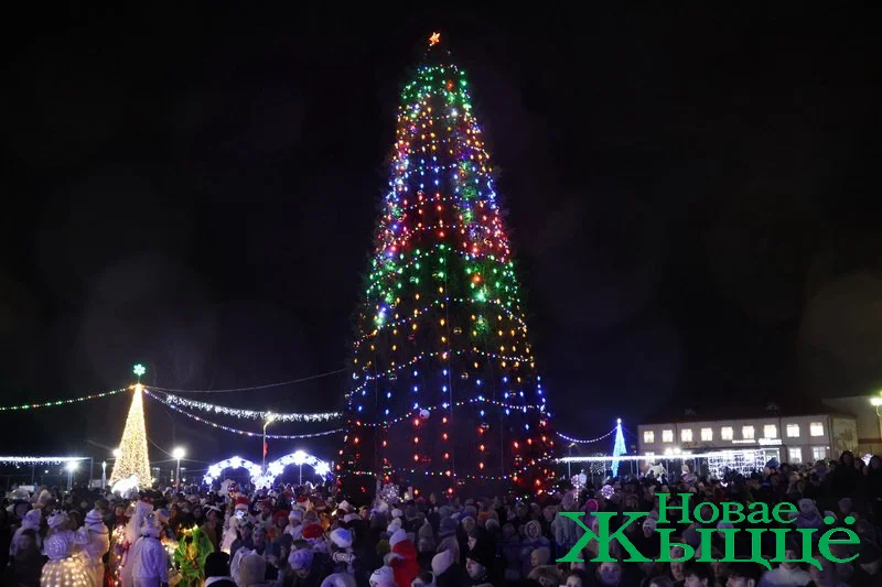 С подковами, домиками и снежинками. Как выглядят главные елки в районных центрах региона