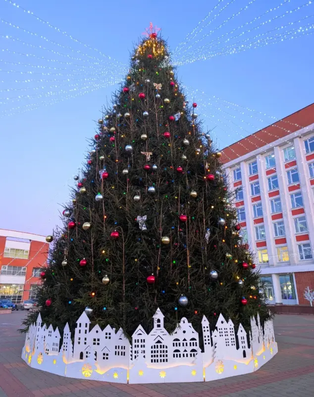 С подковами, домиками и снежинками. Как выглядят главные елки в районных центрах региона