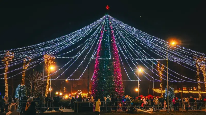 С подковами, домиками и снежинками. Как выглядят главные елки в районных центрах региона