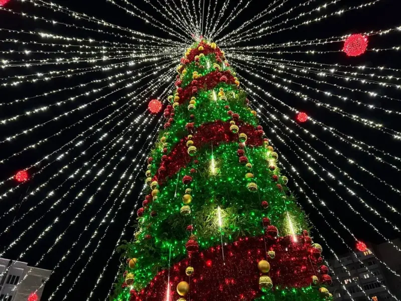 С подковами, домиками и снежинками. Как выглядят главные елки в районных центрах региона