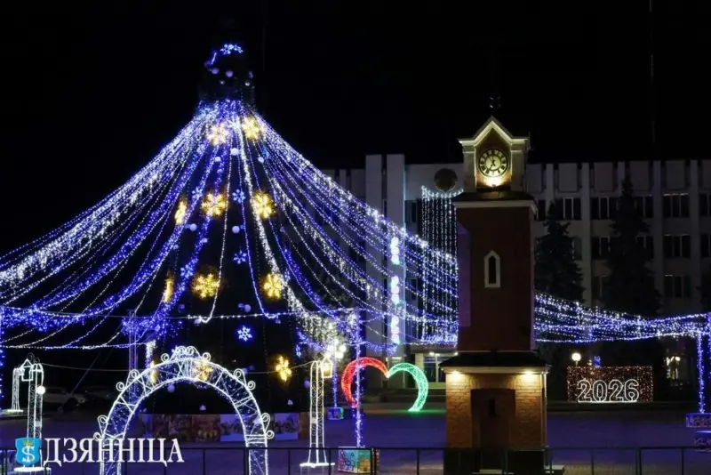 С подковами, домиками и снежинками. Как выглядят главные елки в районных центрах региона