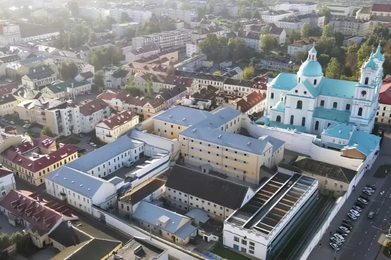 Белоруска предложила гродненской тюрьме поселить у них кошек для ресоциализации заключенных. Вот что из этого вышло