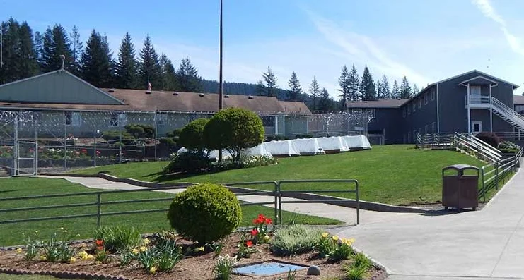 Белоруска предложила гродненской тюрьме поселить у них кошек для ресоциализации заключенных. Вот что из этого вышло