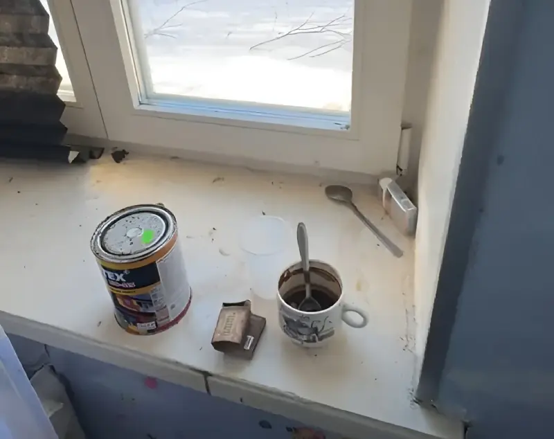 «Амаль 20 тысяч за рамонт». Лідчанка паказала арэндную кватэру і выклікала спрэчку