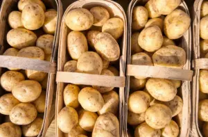 Два традиционных белорусских блюда хотят внести в список ЮНЕСКО. Какие именно? Два традиционных белорусских блюда хотят внести в список ЮНЕСКО. Какие именно?