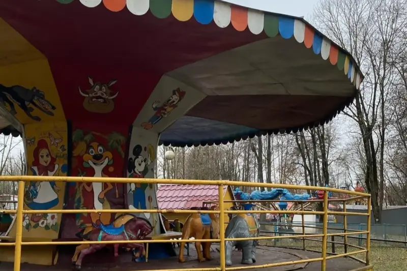 Власти Лиды хотят построить колесо обозрения. Жители просят аквапарк, фонтаны и школу