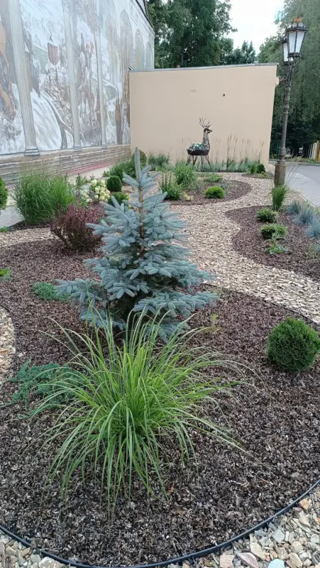 Лепшыя двары Гродна: версіі назвалі гараджане