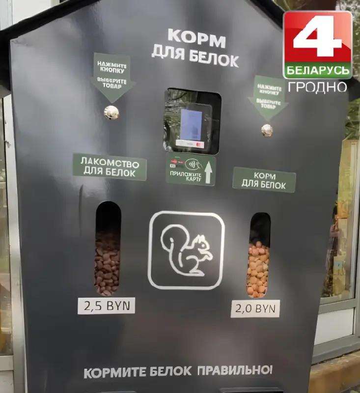 У парку Жылібера ў Гродне з'явіліся вавёркі: для наведвальнікаў усталявалі аўтамат з кормам