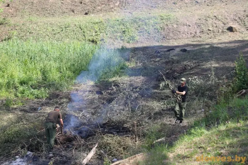 В разгар лета в Слониме закрывают озеро — и заодно вырубают деревья 
