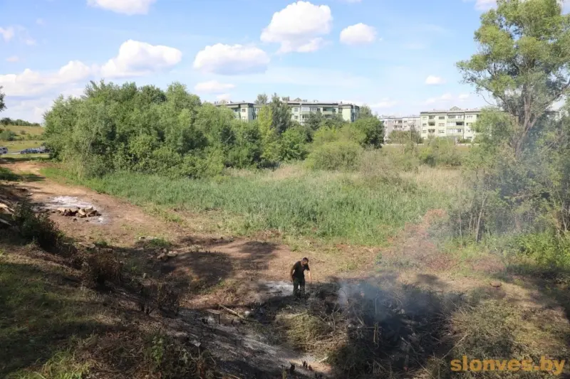 В разгар лета в Слониме закрывают озеро — и заодно вырубают деревья 