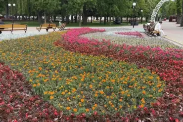 Белосток сажает луга, а Гродно — однолетники. Как правильно озеленять город?
