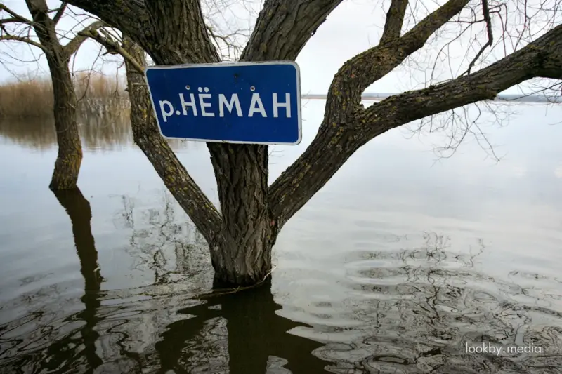Власти сделают туристическую карту Гродненского района Река Неман © LookByMedia