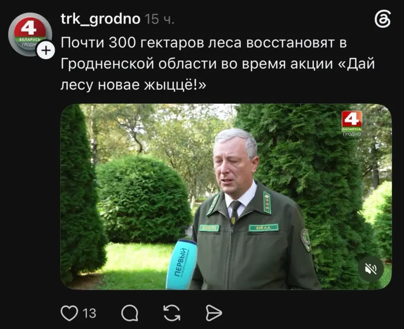Гектары «усохли». ГосТВ запуталось в цифрах посадок: сначала планировали 1750 га, а позже - только 300