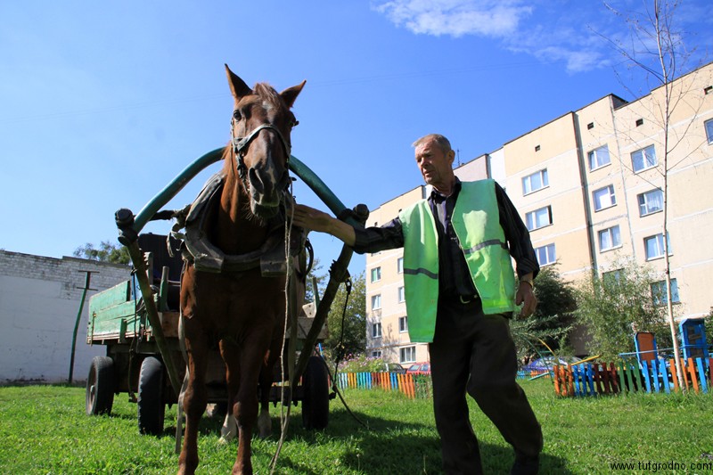 У гродзенскім ЖЭС-6 супрацоўніку плацяць аўсом, сенам і цукеркамі У гродзенскім ЖЭС-6 супрацоўніку плацяць аўсом, сенам і цукеркамі