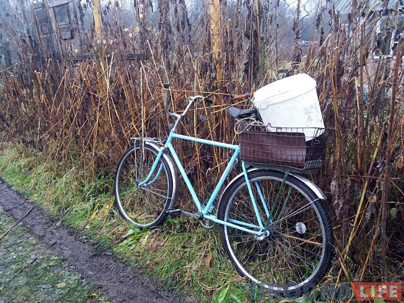 "Сядзяць і плачуць". Як пенсіянеры на Фолюшы рыхтуюцца да зносу нелегальных агародаў "Сядзяць і плачуць". Як пенсіянеры на Фолюшы рыхтуюцца да зносу нелегальных агародаў