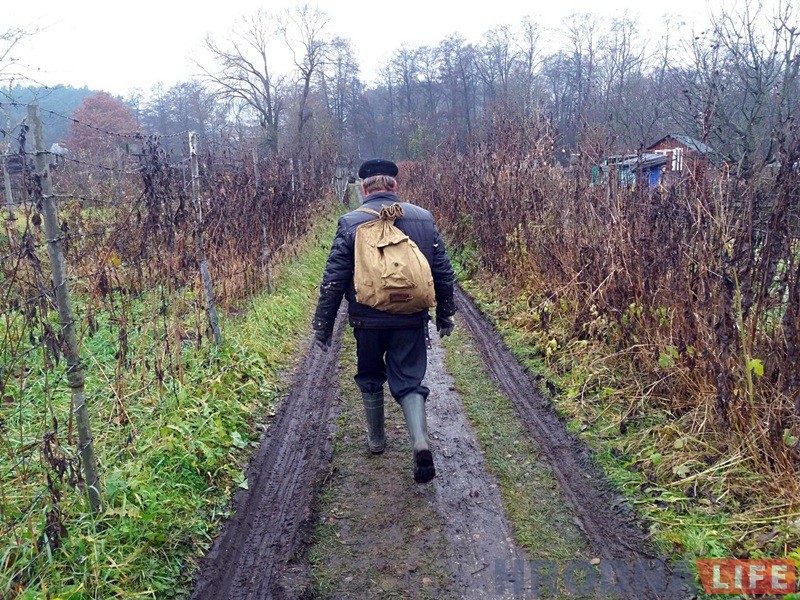 "Сядзяць і плачуць". Як пенсіянеры на Фолюшы рыхтуюцца да зносу нелегальных агародаў "Сядзяць і плачуць". Як пенсіянеры на Фолюшы рыхтуюцца да зносу нелегальных агародаў