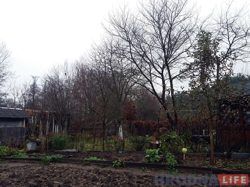 "Сядзяць і плачуць". Як пенсіянеры на Фолюшы рыхтуюцца да зносу нелегальных агародаў "Сядзяць і плачуць". Як пенсіянеры на Фолюшы рыхтуюцца да зносу нелегальных агародаў