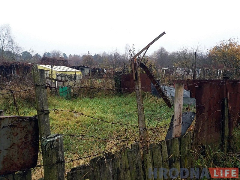 "Сядзяць і плачуць". Як пенсіянеры на Фолюшы рыхтуюцца да зносу нелегальных агародаў "Сядзяць і плачуць". Як пенсіянеры на Фолюшы рыхтуюцца да зносу нелегальных агародаў