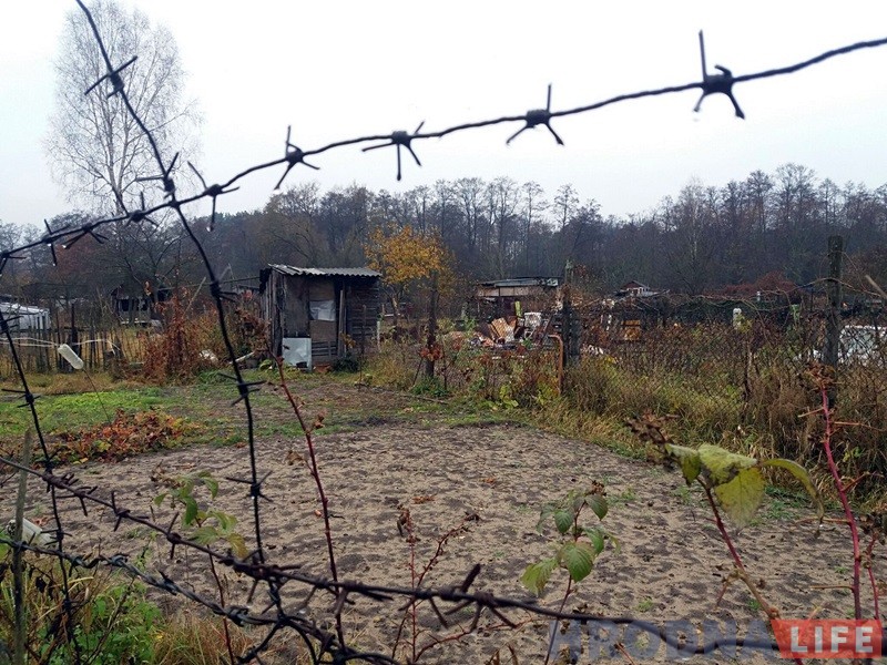 "Сядзяць і плачуць". Як пенсіянеры на Фолюшы рыхтуюцца да зносу нелегальных агародаў "Сядзяць і плачуць". Як пенсіянеры на Фолюшы рыхтуюцца да зносу нелегальных агародаў