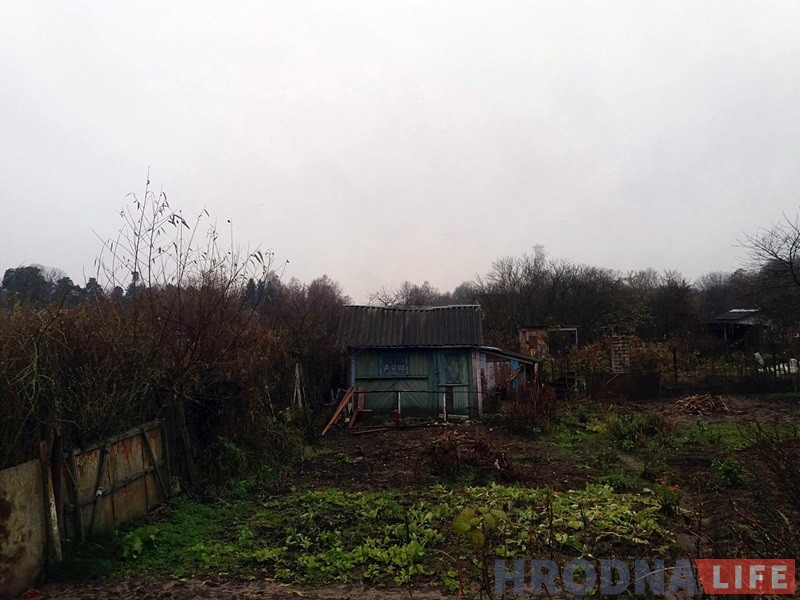 "Сядзяць і плачуць". Як пенсіянеры на Фолюшы рыхтуюцца да зносу нелегальных агародаў "Сядзяць і плачуць". Як пенсіянеры на Фолюшы рыхтуюцца да зносу нелегальных агародаў