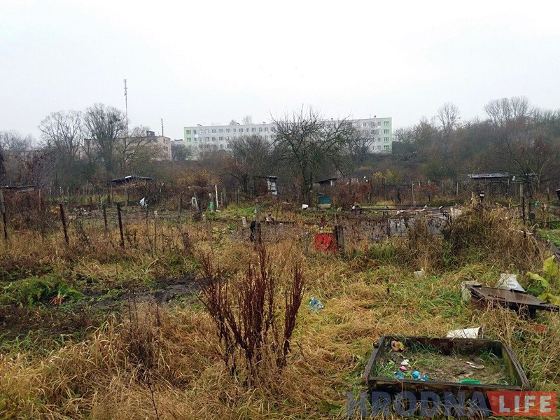 "Сядзяць і плачуць". Як пенсіянеры на Фолюшы рыхтуюцца да зносу нелегальных агародаў "Сядзяць і плачуць". Як пенсіянеры на Фолюшы рыхтуюцца да зносу нелегальных агародаў