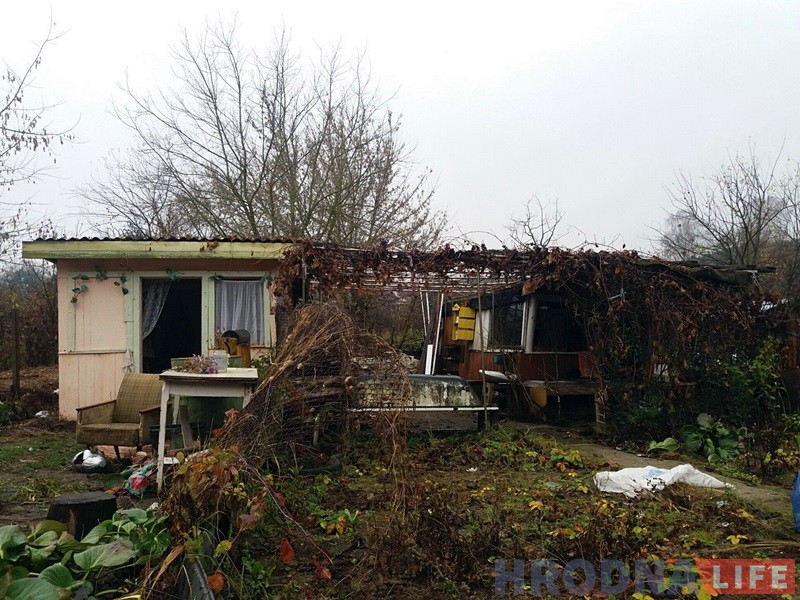 "Сядзяць і плачуць". Як пенсіянеры на Фолюшы рыхтуюцца да зносу нелегальных агародаў "Сядзяць і плачуць". Як пенсіянеры на Фолюшы рыхтуюцца да зносу нелегальных агародаў