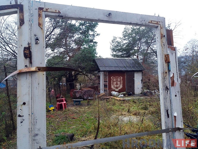 "Сядзяць і плачуць". Як пенсіянеры на Фолюшы рыхтуюцца да зносу нелегальных агародаў "Сядзяць і плачуць". Як пенсіянеры на Фолюшы рыхтуюцца да зносу нелегальных агародаў