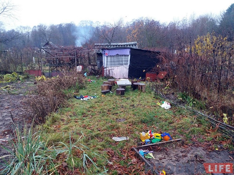"Сядзяць і плачуць". Як пенсіянеры на Фолюшы рыхтуюцца да зносу нелегальных агародаў "Сядзяць і плачуць". Як пенсіянеры на Фолюшы рыхтуюцца да зносу нелегальных агародаў