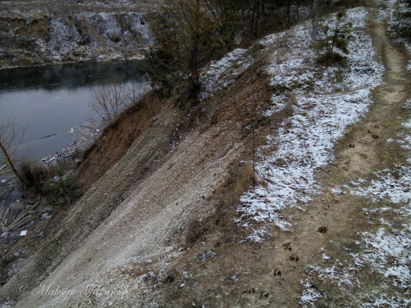 Гродзенец расказаў на YouTube пра напад дзікоў. Паляўнічыя яму не вераць Гродзенец расказаў на YouTube пра напад дзікоў. Паляўнічыя яму не вераць