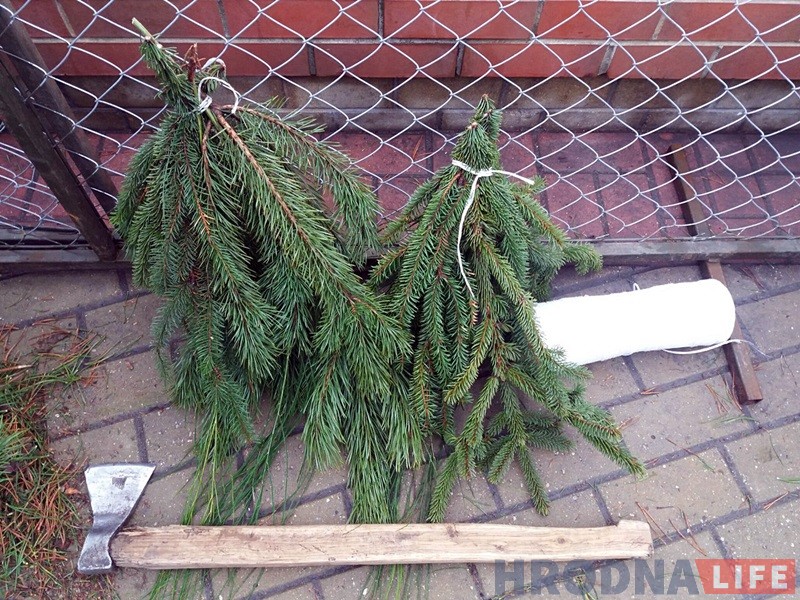 У Гродне з'явіліся прыватныя елкавыя базары: тыя ж дрэўцы, але ўпакаваныя У Гродне з'явіліся прыватныя елкавыя базары: тыя ж дрэўцы, але ўпакаваныя