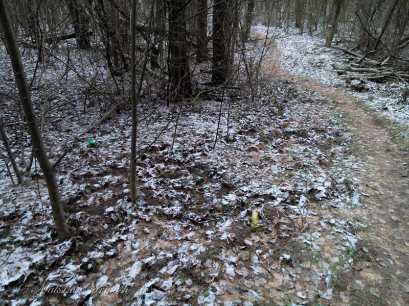 Гродзенец расказаў на YouTube пра напад дзікоў. Паляўнічыя яму не вераць Гродзенец расказаў на YouTube пра напад дзікоў. Паляўнічыя яму не вераць