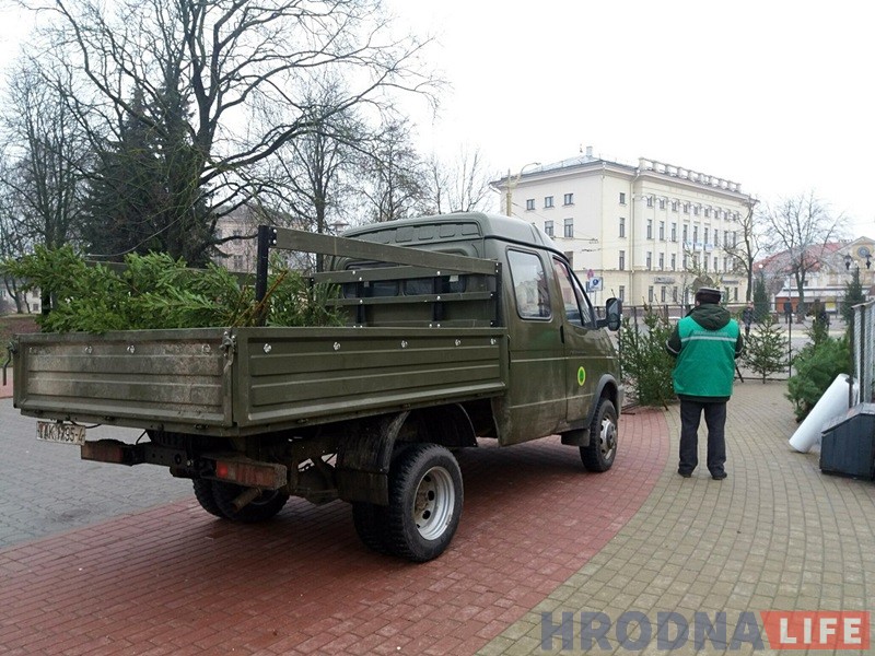 У Гродне з'явіліся прыватныя елкавыя базары: тыя ж дрэўцы, але ўпакаваныя У Гродне з'явіліся прыватныя елкавыя базары: тыя ж дрэўцы, але ўпакаваныя