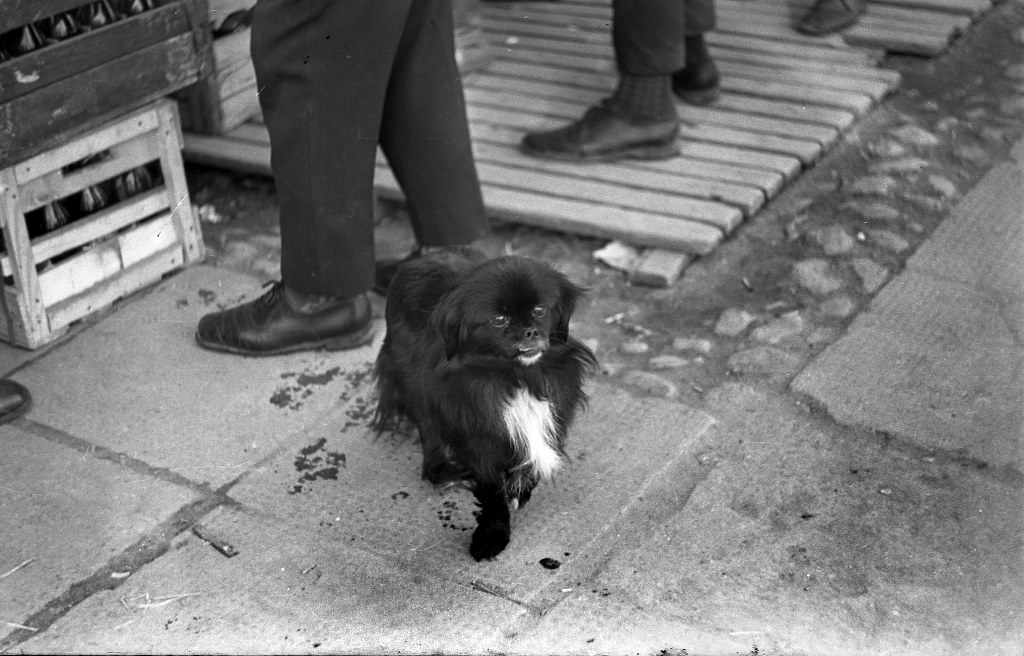 Зразумець хуткаплыннасць жыцця. Выйшаў фотаальбом Наталлі Дораш “Гродзенскія фотагісторыі” Зразумець хуткаплыннасць жыцця. Выйшаў фотаальбом Наталлі Дораш “Гродзенскія фотагісторыі”