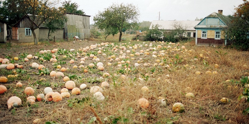 1200 км за 12 дзён: расіянін праехаў на ровары з Гродна ў Ужгарад 1200 км за 12 дзён: расіянін праехаў на ровары з Гродна ў Ужгарад