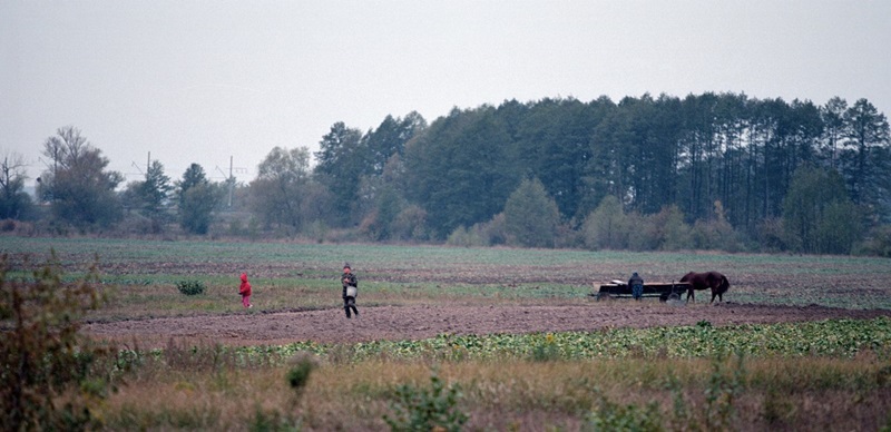 1200 км за 12 дзён: расіянін праехаў на ровары з Гродна ў Ужгарад 1200 км за 12 дзён: расіянін праехаў на ровары з Гродна ў Ужгарад