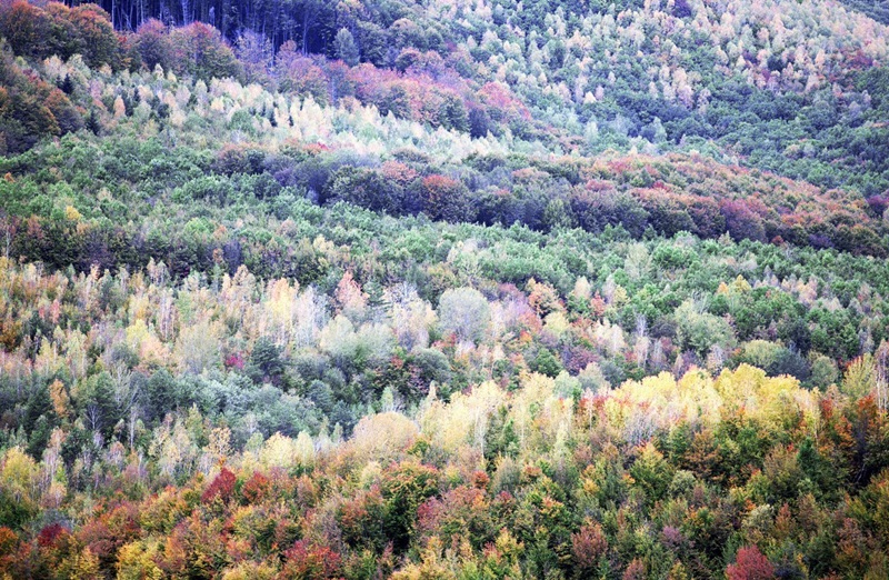 1200 км за 12 дзён: расіянін праехаў на ровары з Гродна ў Ужгарад 1200 км за 12 дзён: расіянін праехаў на ровары з Гродна ў Ужгарад