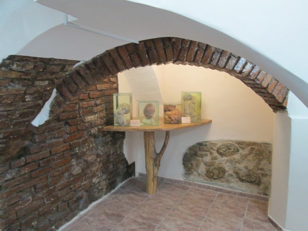 кунсткамера гродно