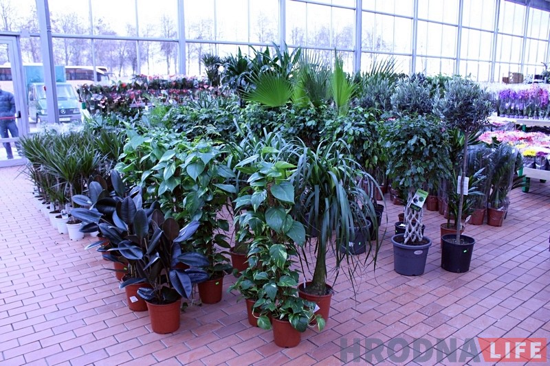 Фотарэпартаж: Самы буйны будаўнічы гіпермаркет Беларусі адкрылі ў Гродне Фотарэпартаж: Самы буйны будаўнічы гіпермаркет Беларусі адкрылі ў Гродне