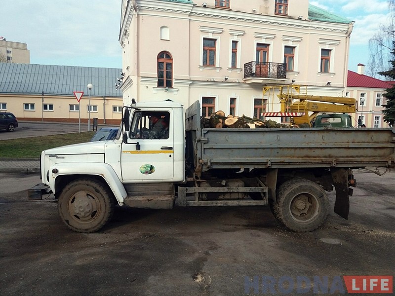 Ахова прыроды прыпыніла спілоўку дрэваў на Тэлеграфнай Ахова прыроды прыпыніла спілоўку дрэваў на Тэлеграфнай