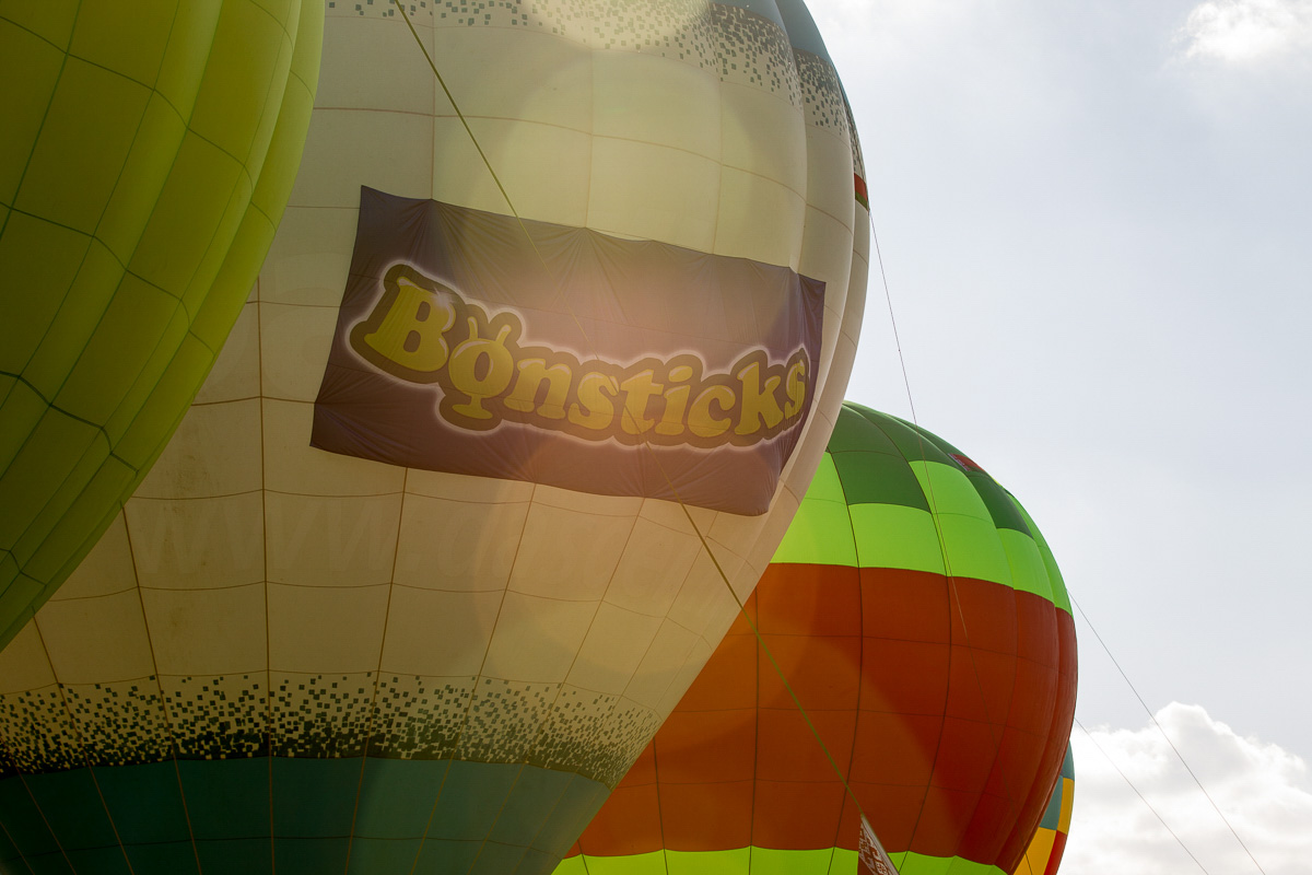 Бонсцікі заінтрыгавалі беларускіх дзяцей і адляцелі з Беларусі