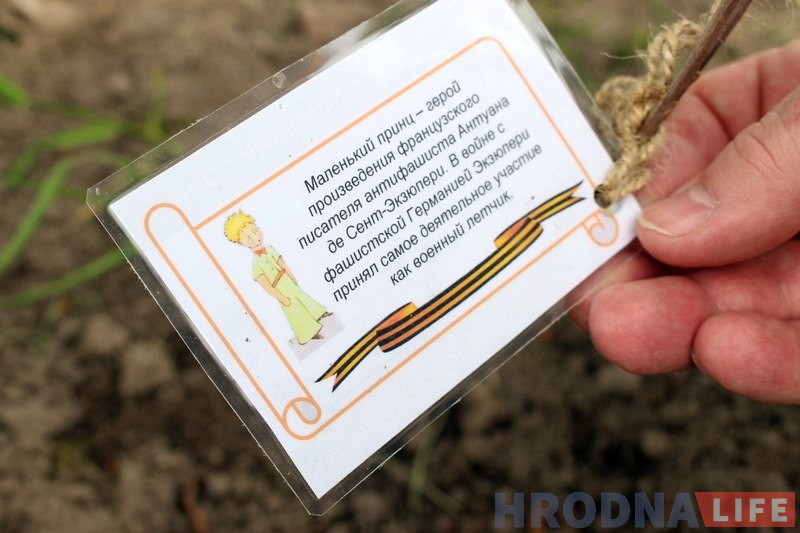 Напярэдадні 9 мая ў Каложскім парку заклалі чарговую алею «Сирень Победы» Напярэдадні 9 мая ў Каложскім парку заклалі чарговую алею «Сирень Победы»