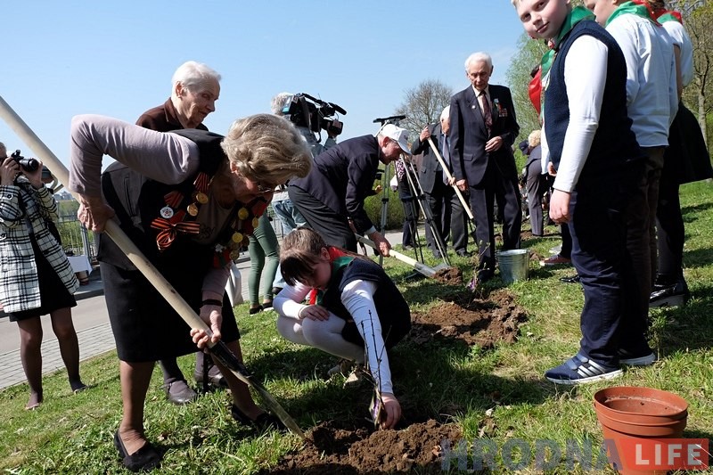 Напярэдадні 9 мая ў Каложскім парку заклалі чарговую алею «Сирень Победы» Напярэдадні 9 мая ў Каложскім парку заклалі чарговую алею «Сирень Победы»