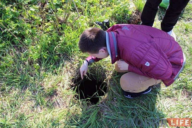 "Сёння сабака, а заўтра дзіця?" На Фолюшы ў адкрытым калодзежы патанула хатняя жывёла