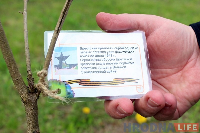 Напярэдадні 9 мая ў Каложскім парку заклалі чарговую алею «Сирень Победы» Напярэдадні 9 мая ў Каложскім парку заклалі чарговую алею «Сирень Победы»