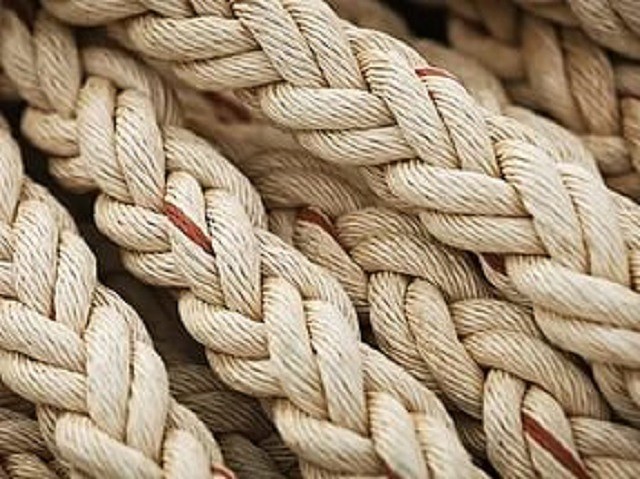 Ад брытанскага флоту да крымінальнай хронікі: як каноплі былі на Гродзеншчыне стратэгічным таварам