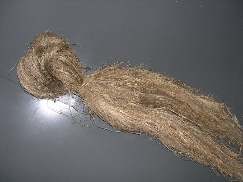 Ад брытанскага флоту да крымінальнай хронікі: як каноплі былі на Гродзеншчыне стратэгічным таварам