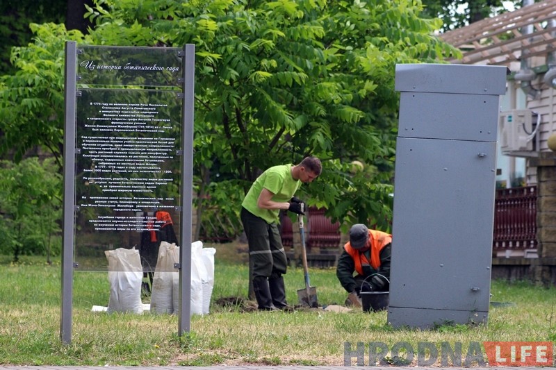 У батанічны сад у парку Жылібера правялі ваду і пачалі перапіс раслін У батанічны сад у парку Жылібера правялі ваду і пачалі перапіс раслін