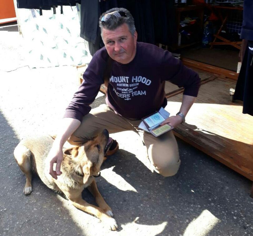 Куды знікаюць жывёлы з вуліц? Гродзенцы падазраюць камунальнікаў у незаконных забойствах